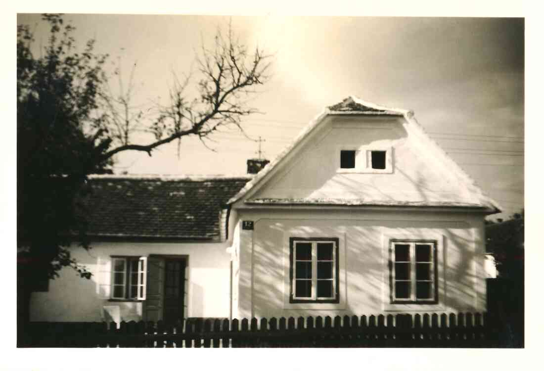 Haus Roseggergasse 12 - Straßenseite