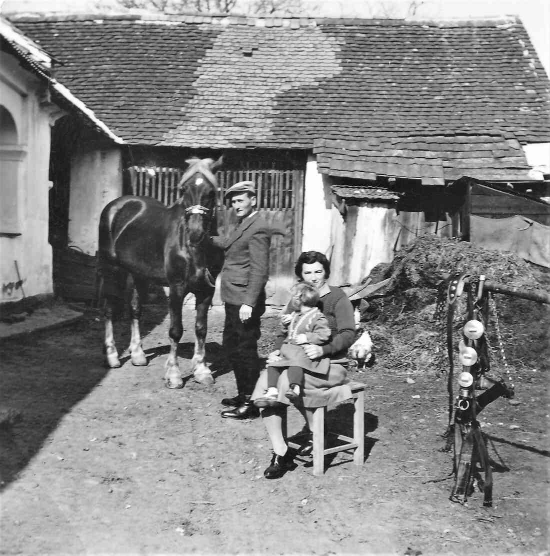 Ehepaar Johann und Julia Gangoly (Sterngasse 3)