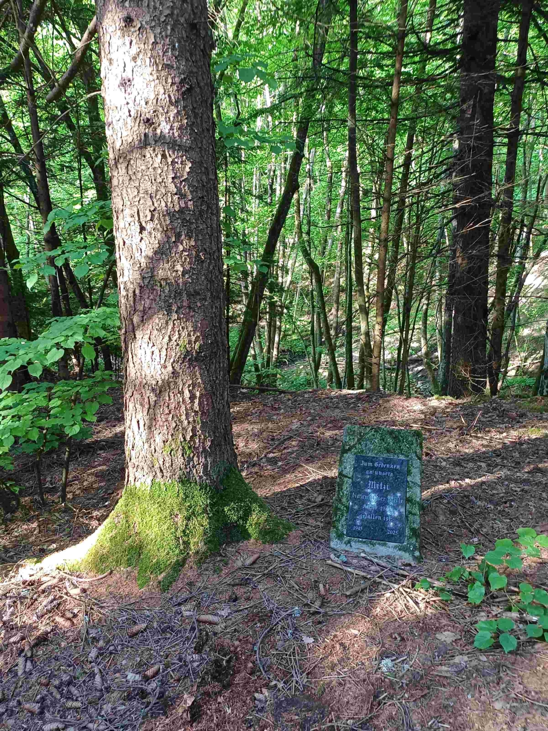 Gedenkstein für Maria "Mitzi" Imre (*1916/+1945) im Buchschachener Wald