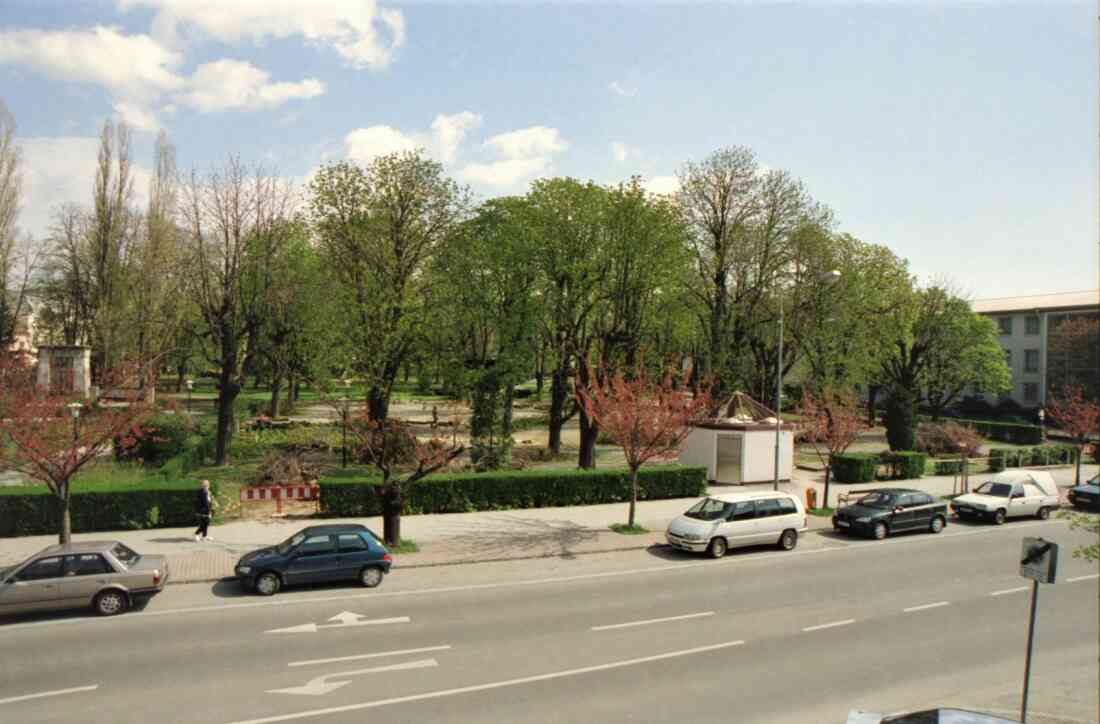 Stadtpark während der ersten Schlägerungen zur Umwandlung in den sogenannten "Kulturpark"