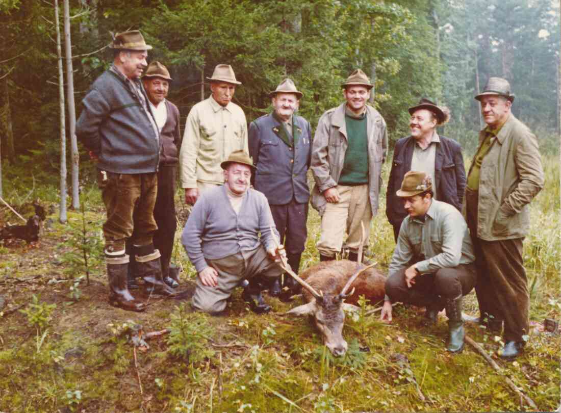 Jagdrunde: Jägergruppe mit erlegtem Hirsch - Szabo/Horvath/Unger/Lukitsch/Doczy/Faigl/Sedlaczek/Palank