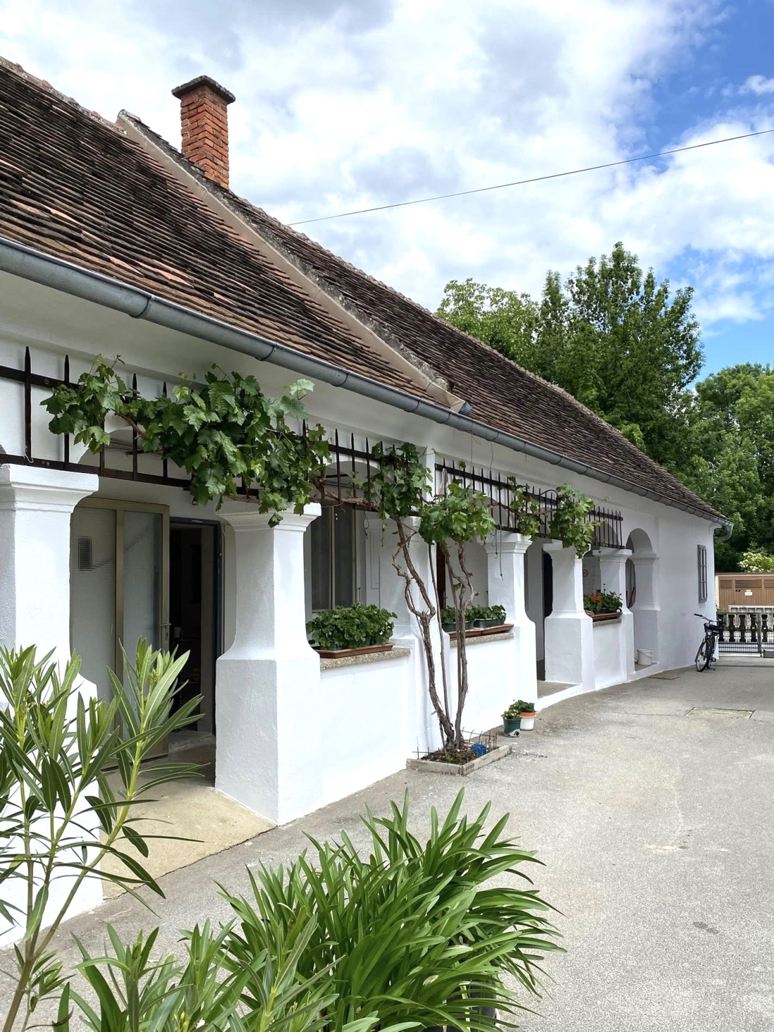 Arkadenhaus OW 388 / Mühlgasse 7 (Ernö und Isa Tölly)