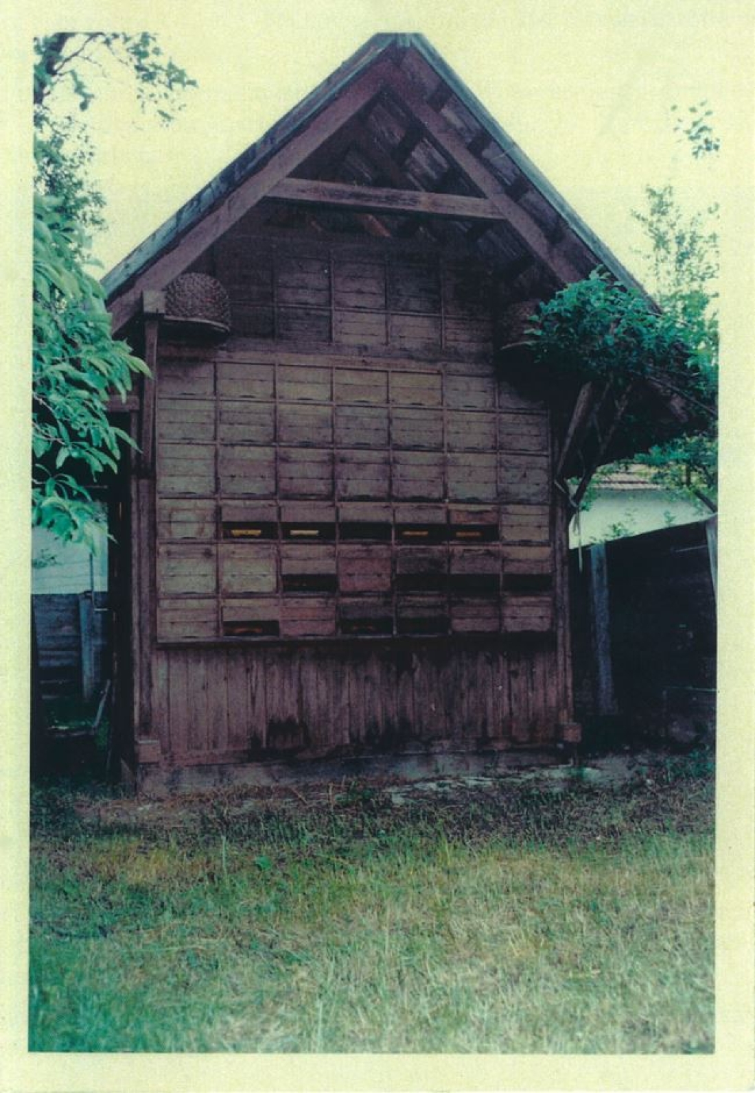 Bienenhaus von Tischlermeister und Imker Gustav Pfeiler (*1902/+1991) im Garten des Hauses OW 648 / Johann-Straußgasse 14