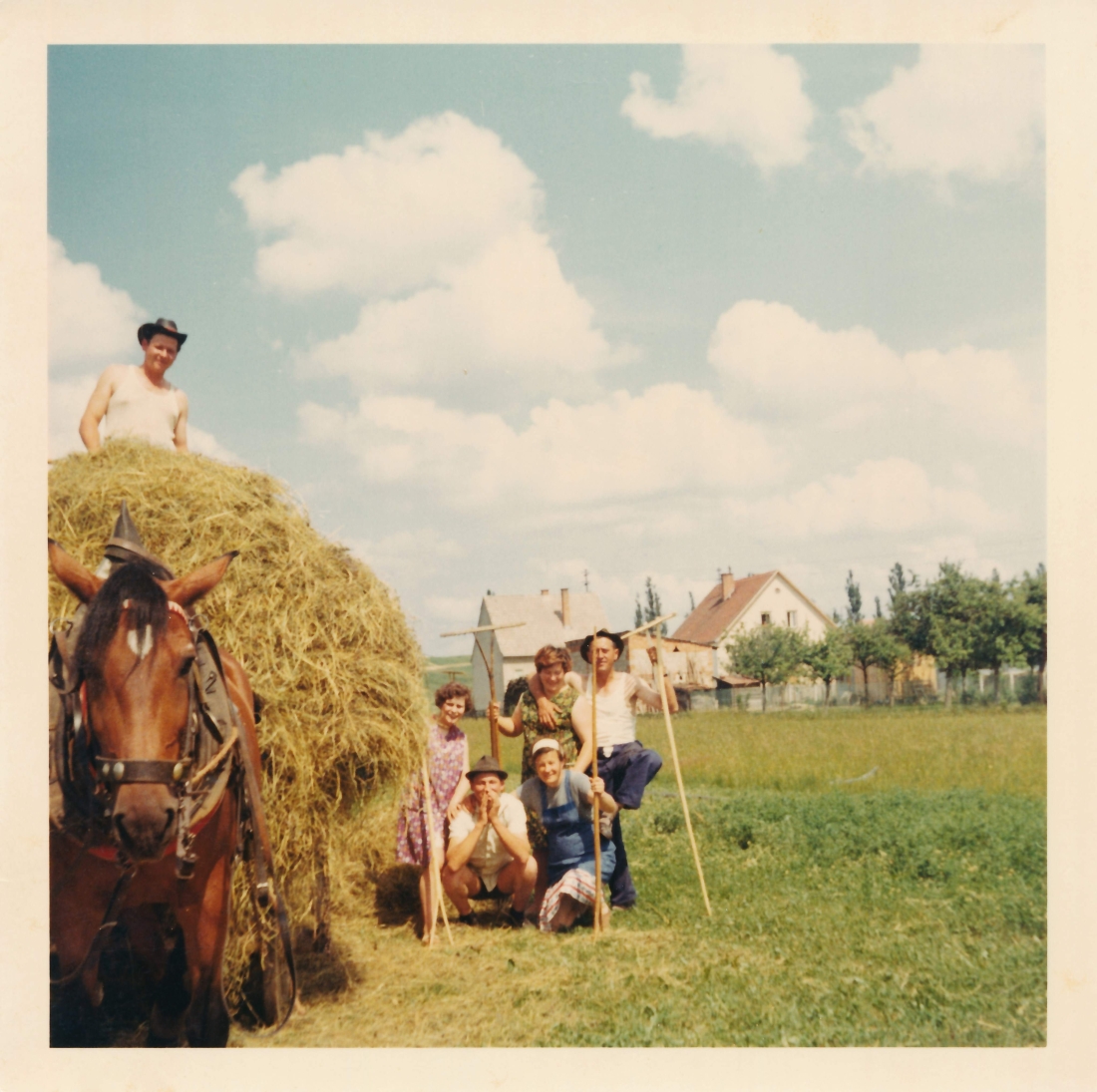 Bei der Heuernte - Pal/Fülöp/Huber