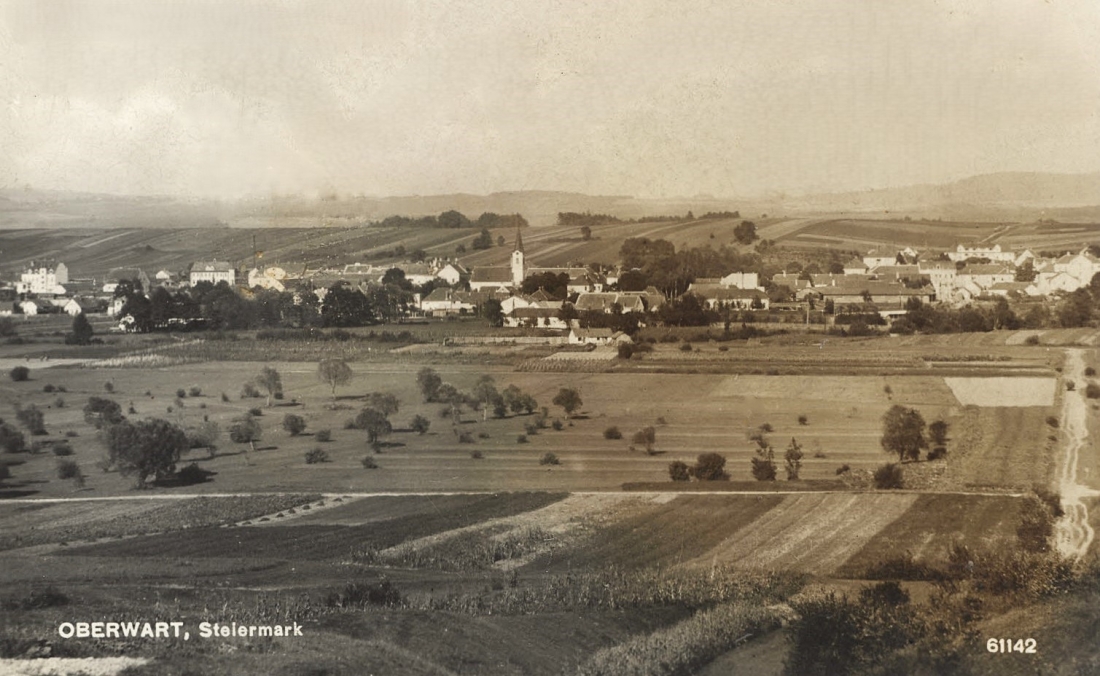 Ansichtskarte: Oberwart, Steiermark - Blick gegen NO auf das Zentrum