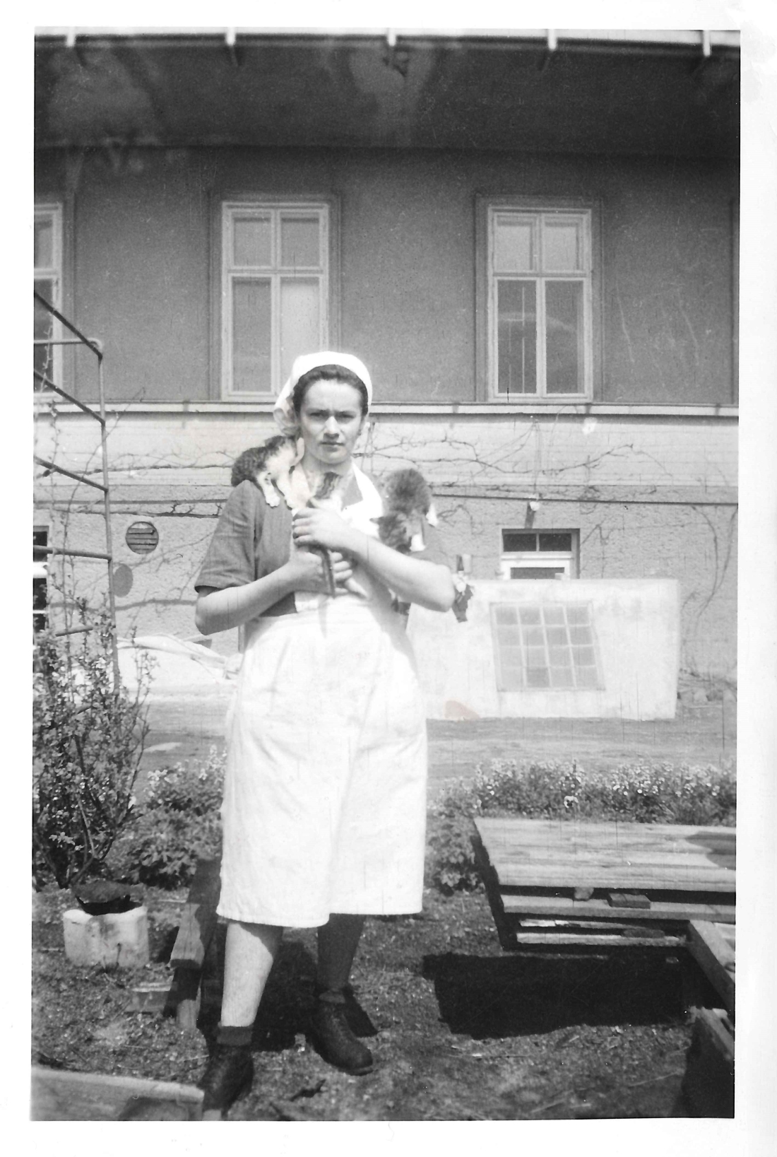 Frieda Folkensteiner (*1927/+1982) mit den "Spitalskatzen" vor der Südfront des Krankenhauses (Spitalgasse / heute Dr.-Emmerich-Gyenge-Platz)