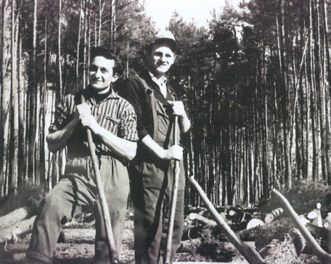St. Martin: Alexander Miertl und Fritz Guger bei der Waldarbeit