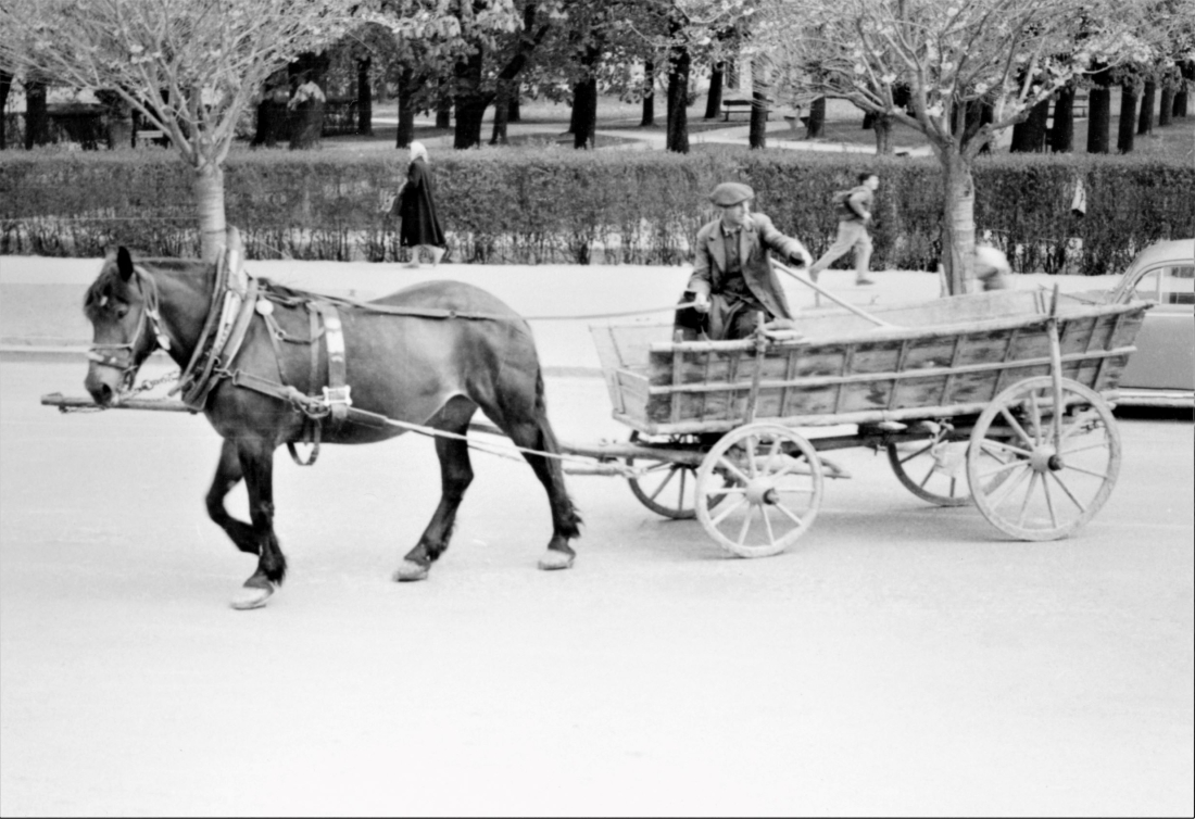 Herr Julius Szalay (*1910/+1985) mit einem der letzten Pferdefuhrwerke in Oberwart (im Hintergrund der Stadtpark) - Lannergasse 15