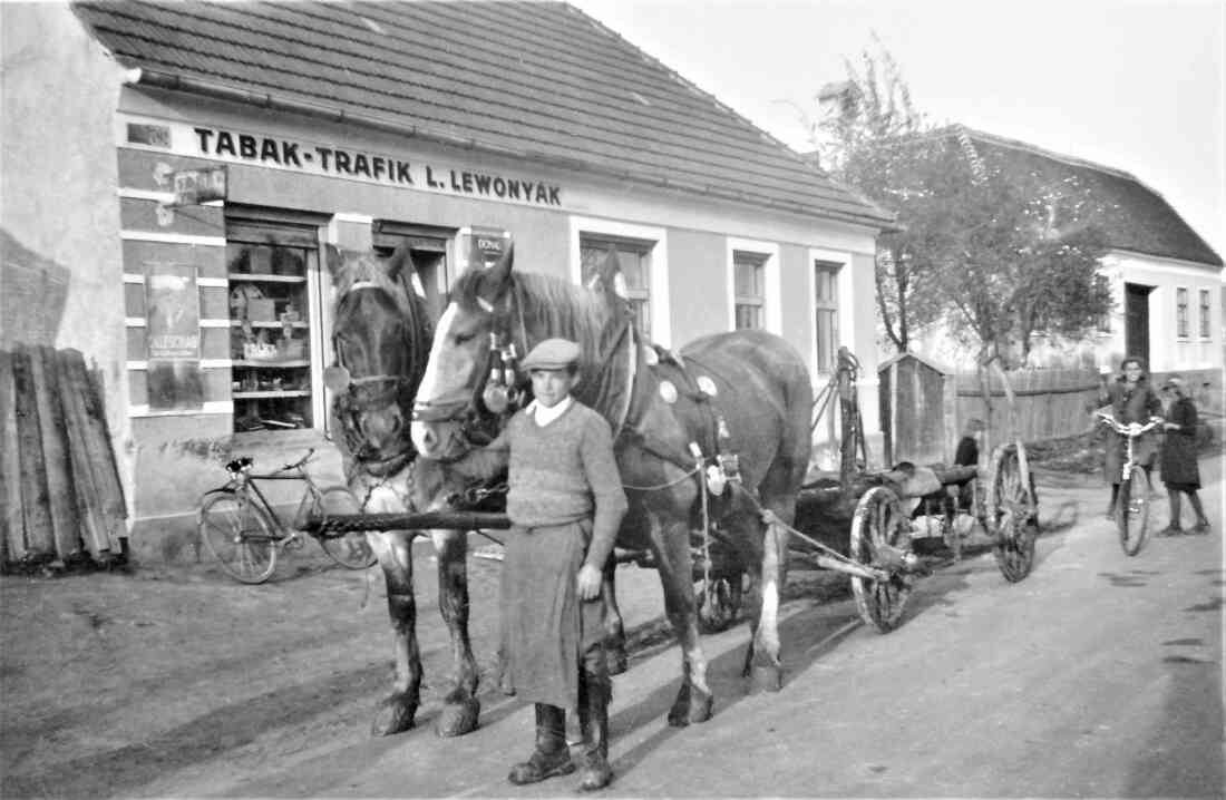 Josef Pimperl (*1913 / +1991) mit seinem Pferdegespann vor der Trafik Lewonyak (Steinamangererstraße 79)