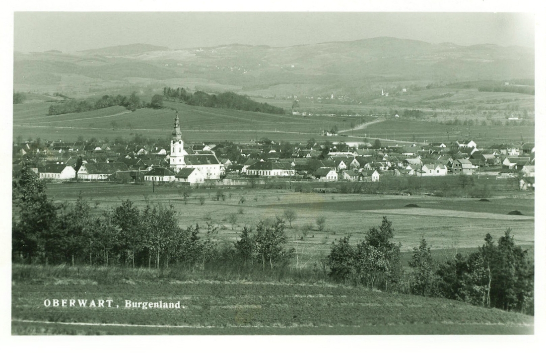 Ansichtskarte: "Oberwart, Burgenland" - Blick über die nordwestlichen Teile der Stadt gegen Norden
