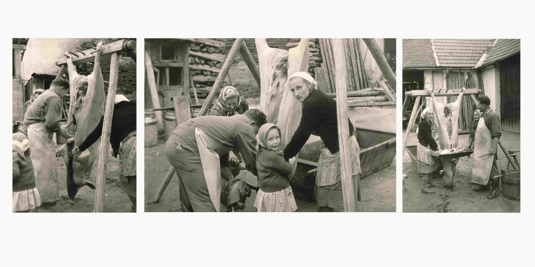 Sauabstechen im Hause Muth - Grazerstraße 58