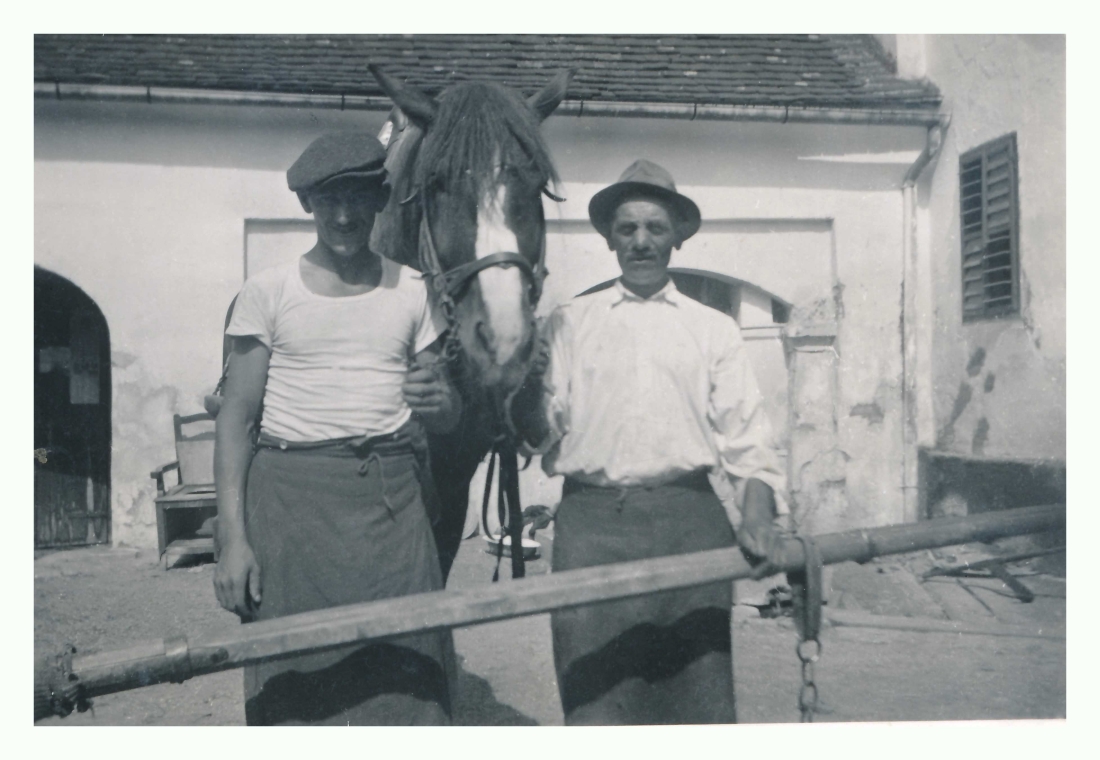 Vater Samuel Böcskör (*1882/+1971) und Sohn Alexander Böcskör (*1915/+1945 - vermisst im II. WK) mit Pferd / Grazerstraße 88