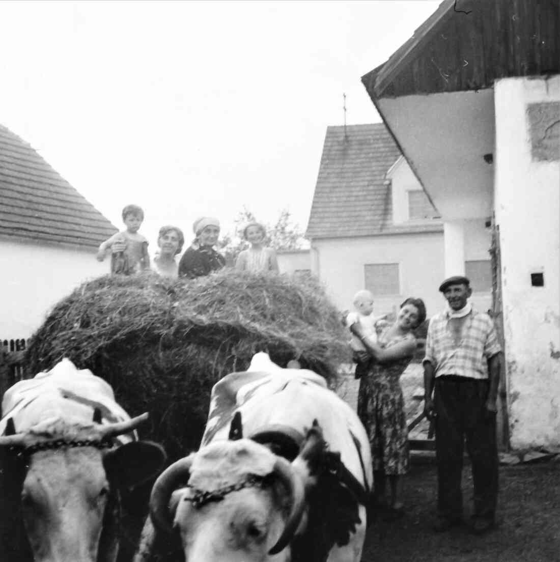 Am Heuwagen im Haus Zsamar (Unterwarterstraße 7)