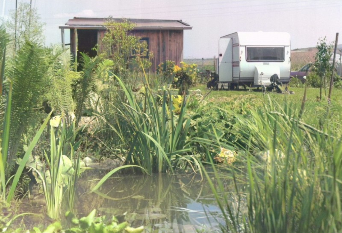 Grünoase mit Gartenteich Mikovits (Schönbergasse 5)