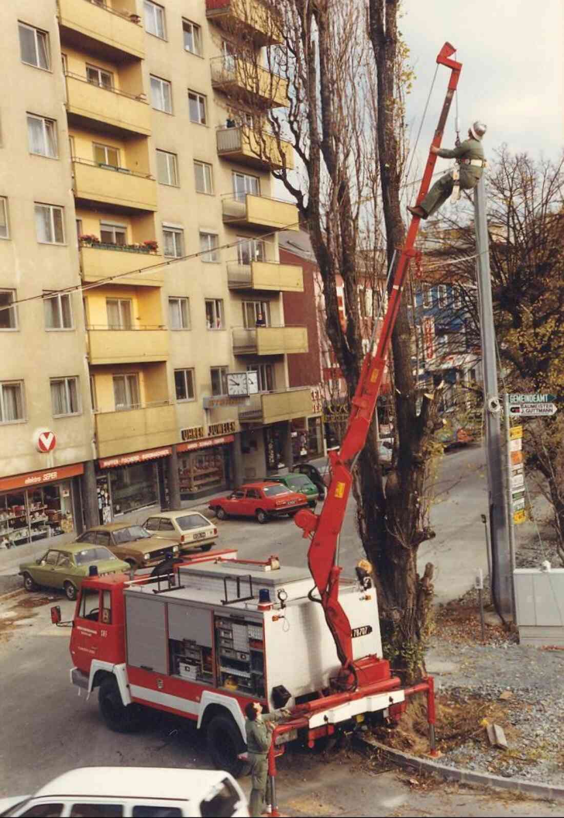 Die Stadtfeuerwehr beim Baumschnitt