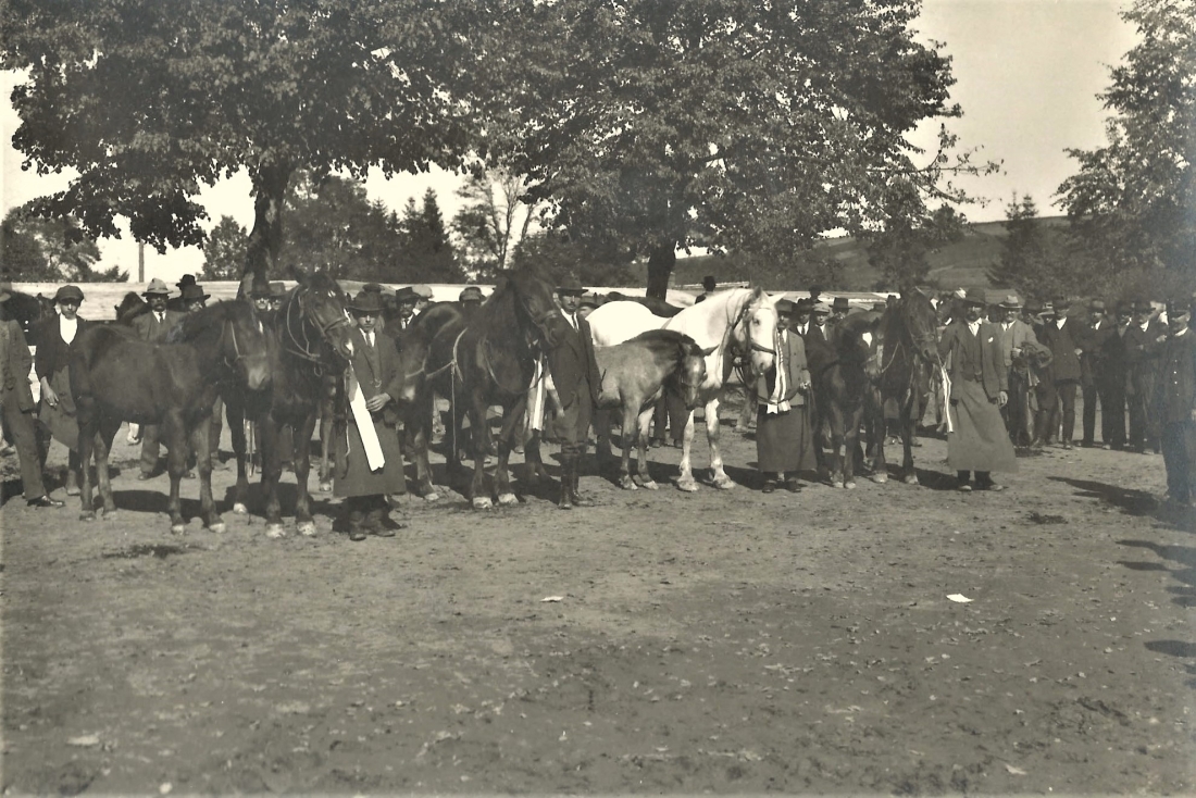 Pferdemarkt im Zuge der Gewerbeausstellung 1924  am Gelände des heutigen Parks - nordöstlicher Bereich: heute Spielplatz / Teile der Bundesamtsgebäude