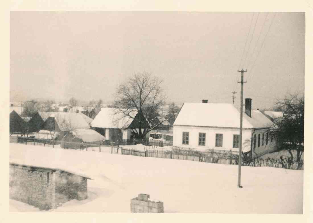 Blick auf das Haus Graf Erdödystraße 41 / OW 445 (Sofie Miklos) gegen Westen