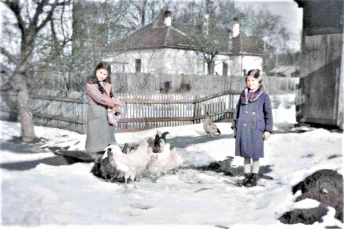 Maria Resch (verh. Dkfm. Reichel , *09.06.1927/+15.11.1982) links bei den Hühnern im Garten des Straßenbauamt - Ambrosigasse 15