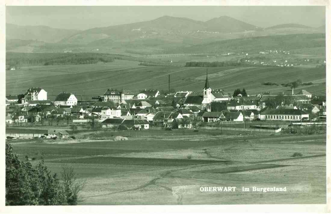 Ansichtskarte: Blick über den nördlichen Teile der Stadt auf das Bernsteiner-Gebirge