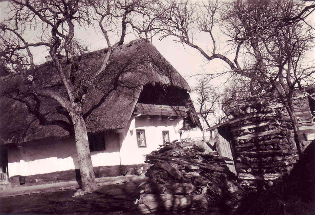Strohgedecktes Bauernhaus in Blockbauweise (Konskriptionsnummer 101 - heute Steinamangererstraße 119 / OW 578): Winterhalbjahr