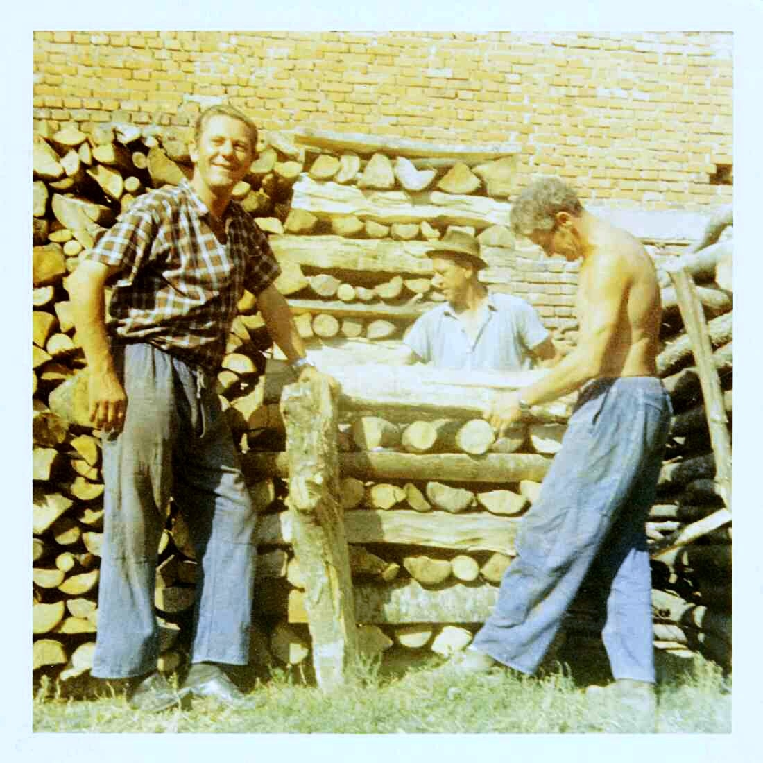 Holzarbeit im Hause Fülöp (Wiesengasse 50) - Holler