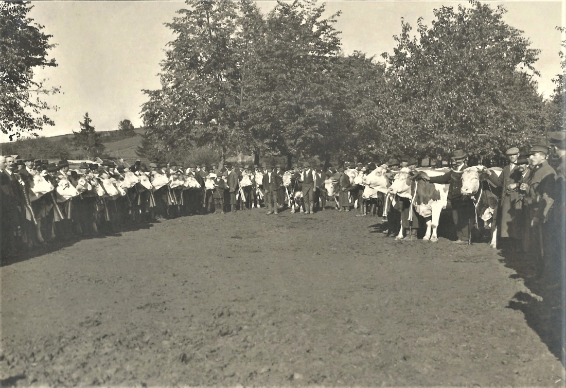 Viehmarkt im Zuge der Gewerbeausstellung 1924 am Gelände des heutigen Parks - nordöstlicher Bereich: heute Spielplatz / Teile der Bundesamtsgebäude