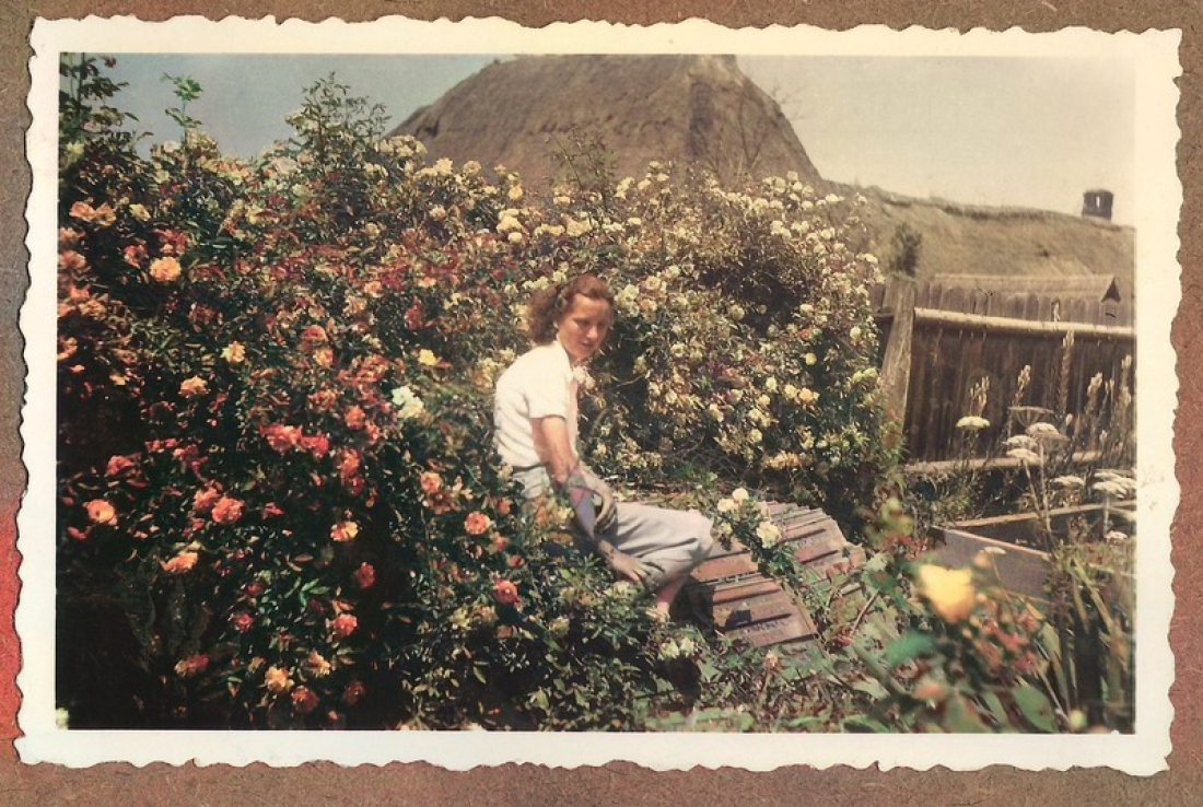 Elfried Graf (verh. Langer, *1936 / +2015) inmitten von Rosen