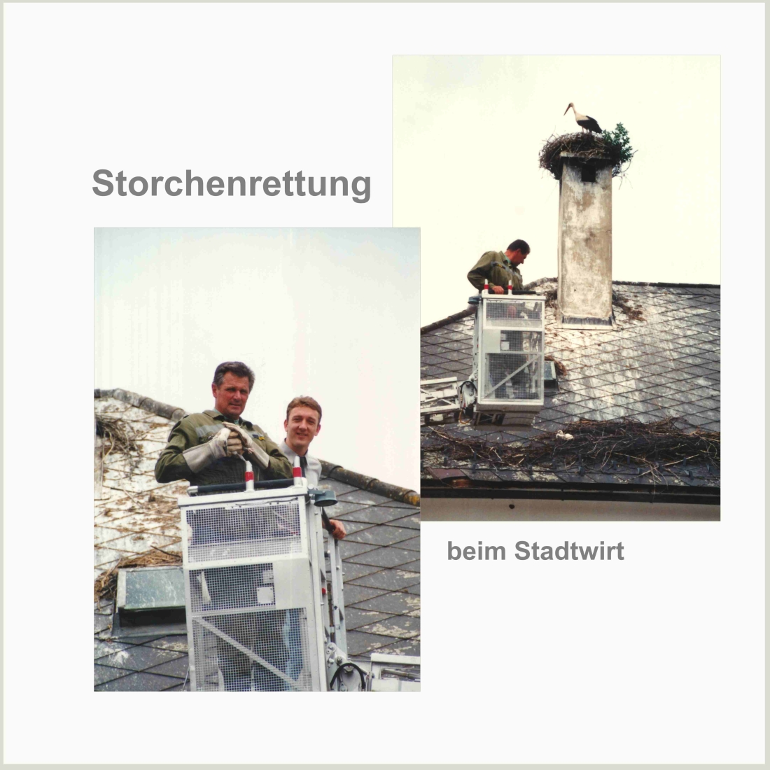 Feuerwehr: Storchenrettung beim Stadtwirt - Steinamangererstraße 6 (Szabo/Wukits)