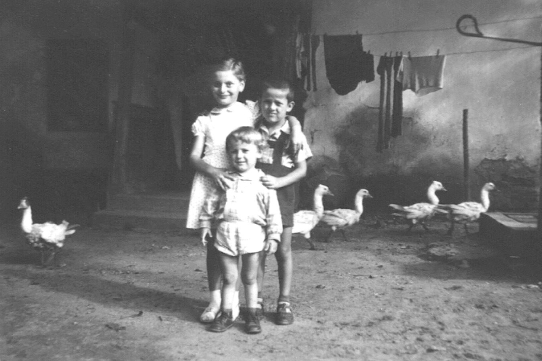 Kindergruppe mit Gänsen: Besuch bei den Großeltern (OW 420 / Dornburggasse 31) - Mohat/Erdely