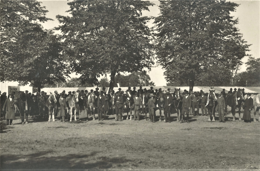 Pferdemarkt im Zuge der Gewerbeausstellung 1924 am Gelände des heutigen Parks - nordöstlicher Bereich: heute Spielplatz / Teile der Bundesamtsgebäude