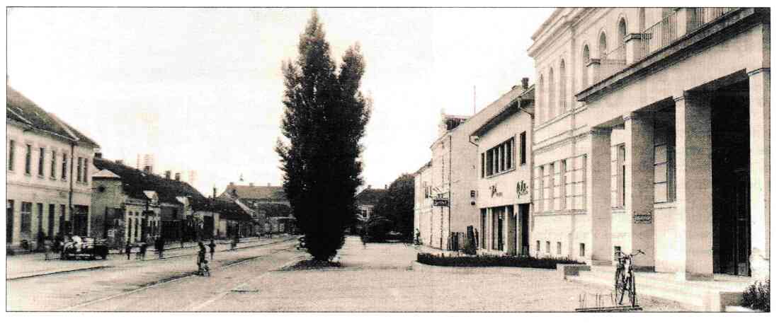 Blick vom Rathaus  auf die gegenüberliegende Häuserzeile Hauptplatz 2 bis 10 links und Hauptplatz 1 bis 9 (Rathaus) rechts