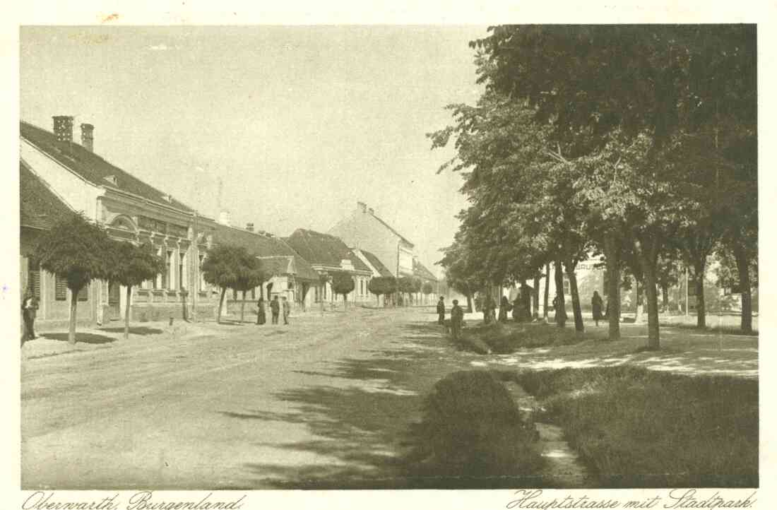 Ansichtskarte: Hauptstraße mit Stadtpark