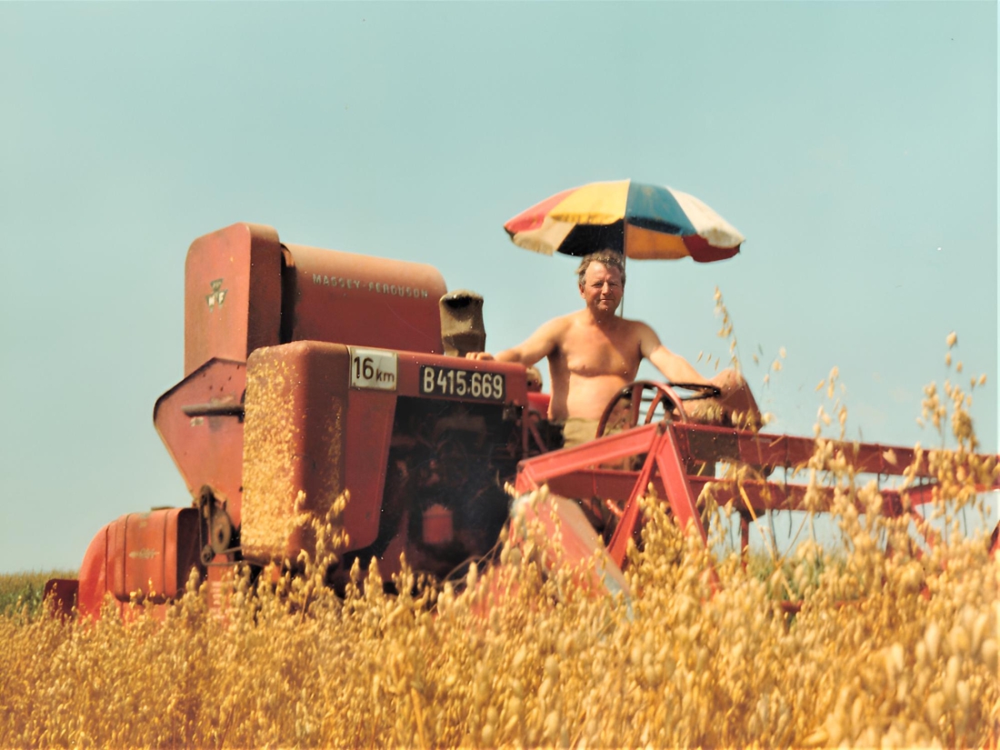 Landwirt Michael Böcskör mit seinem kleinen Mähdrescher der Marke Massey Ferguson beim Dreschen