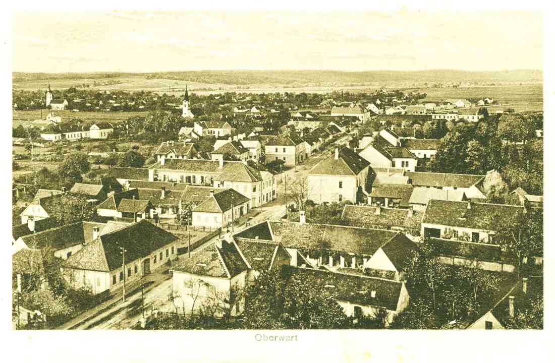 Ansichtskarte: Blick vom röm. kath. Kirchturm gegen Westen