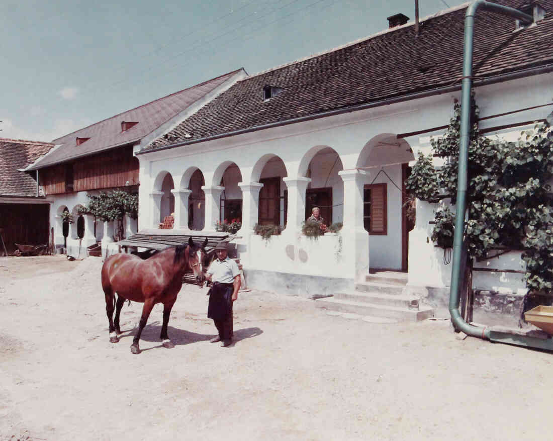 Ausgezeichnetes Arkadenhaus: Alexander Baliko (Johann Straussgasse 46)