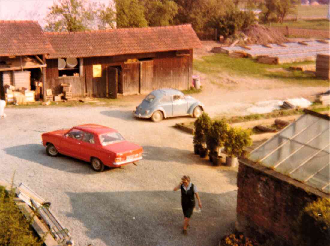 Gärtnerei Graf (Steinamangererstraße 36b): Blick auf Teile der Betriebsanlagen
