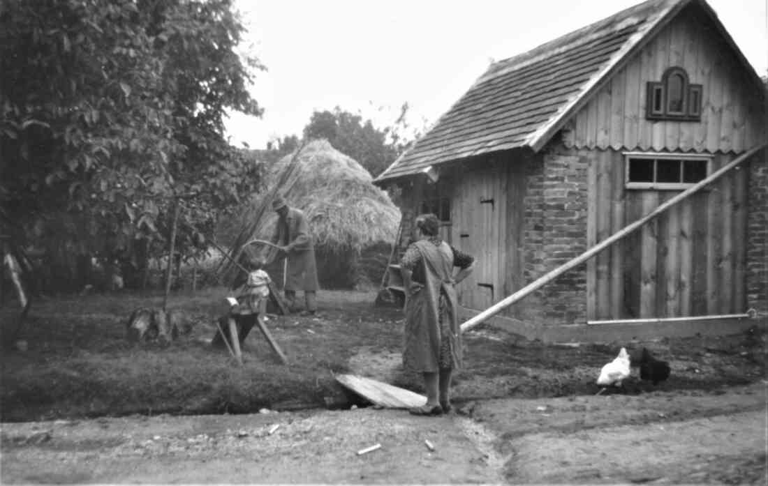 Platanengasse 3: Hr. Josef Bertha beim Holzsägen