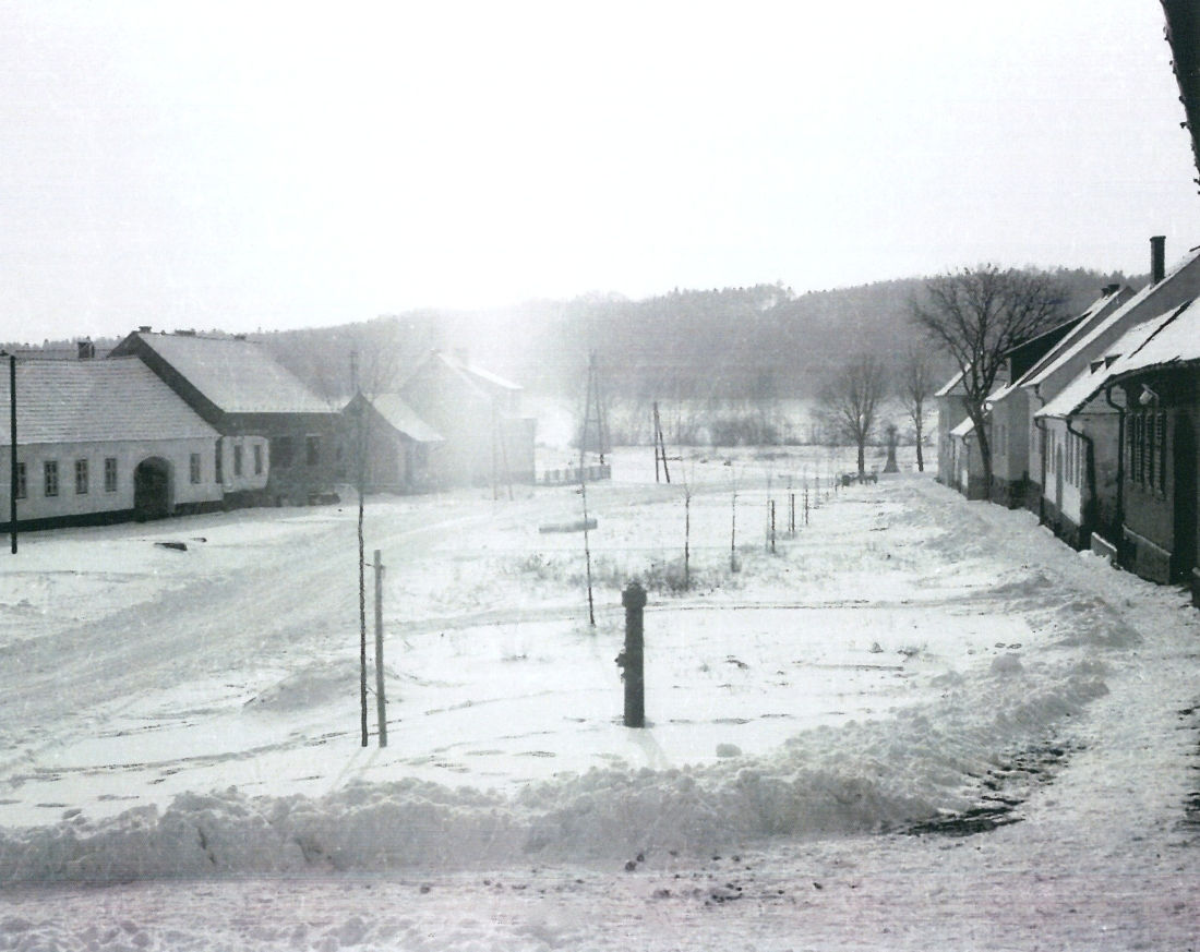 St. Martin: Blick entlang der Oberwarter Straße gegen SW mit der im Zuge der Dorferneuerung neu ausgepflanzten Lindenallee