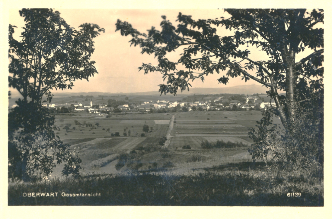 Ansichtskarte: Oberwart - Gesamtansicht