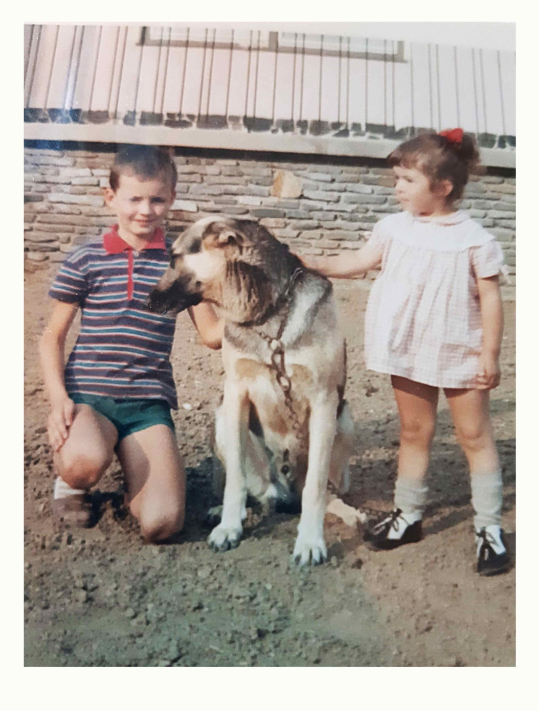 Cousin und Cousine: Willi und Sabine Steurer mit dem Familienhund