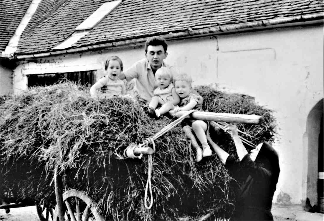 Am Heuwagen im Hof des Hauses Grazerstraße 88: Szabo/Topler/Böcskör