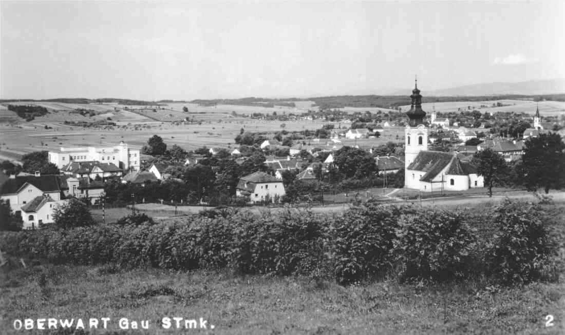 Ansichtskarte: Blick vom östl. Friedhofsberg auf das Krankenhaus, die Synagoge und die drei Kirchen