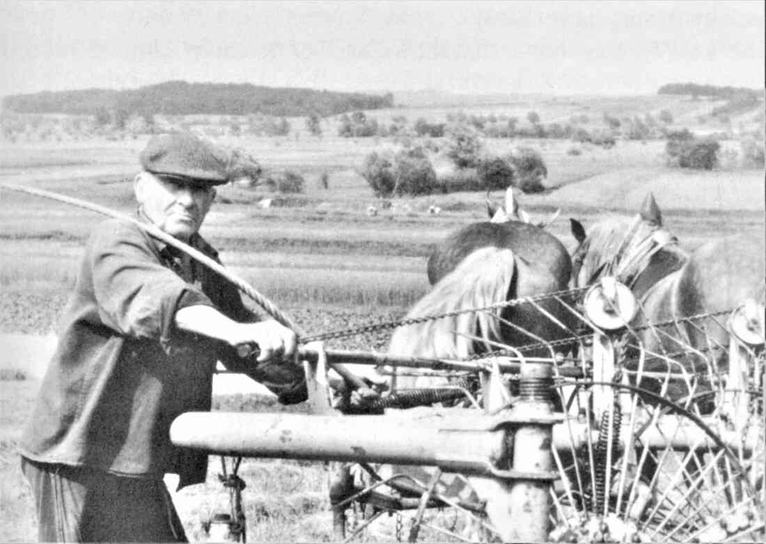 Ludwig Adorjan (Wiesengasse 22 - *1907 / +1993) mit seinem Pferdegespann beim Heuwenden