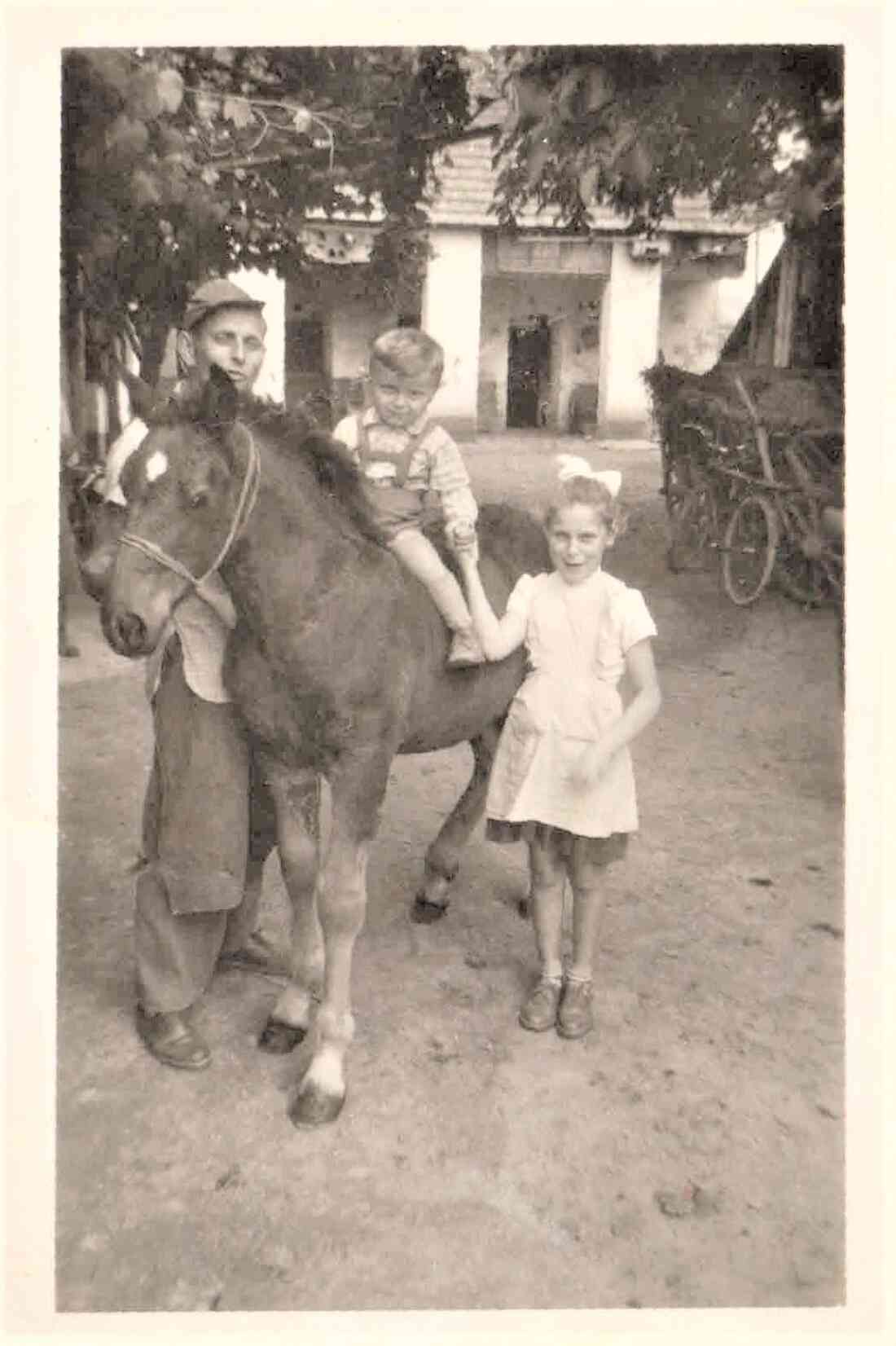 Familie Mohat und das Fohlen des Hauses (Dornburggasse 31)