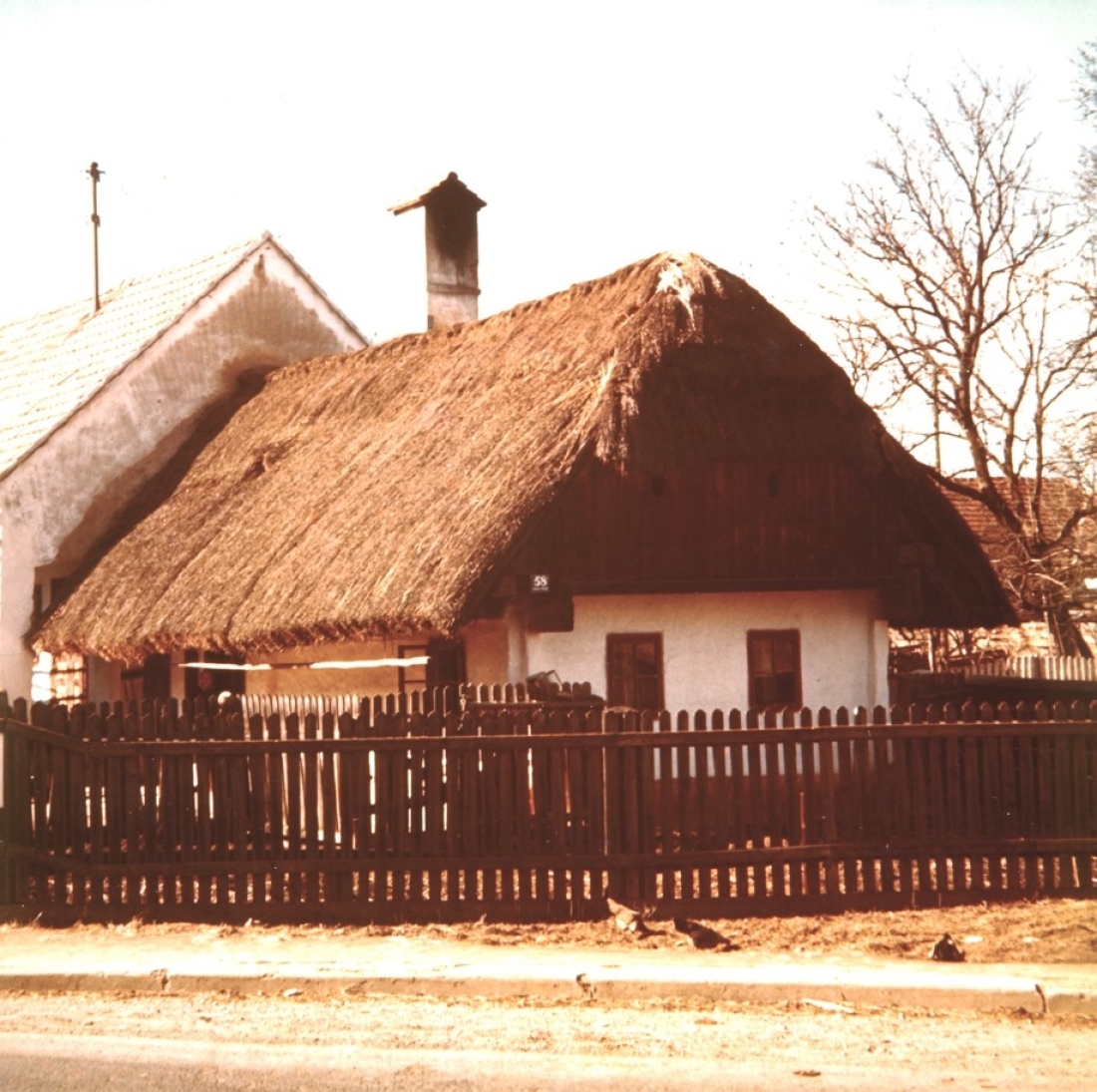 Strohgedecktes Bauernhaus in Blockbauweise - OW 337 / Grazerstraße 58 (Ludwig Muth)