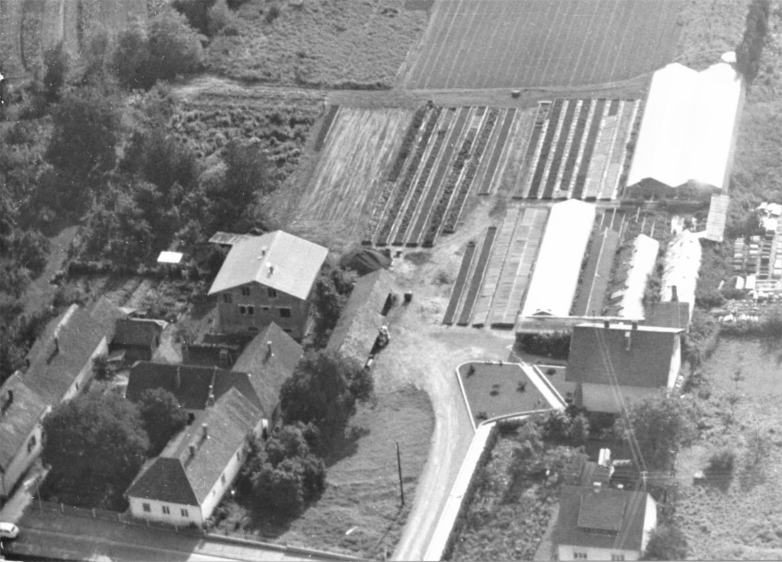 Flugaufnahme/Luftbild: Blick auf die Gärtnerei Graf (Steinamangererstraße 36b)