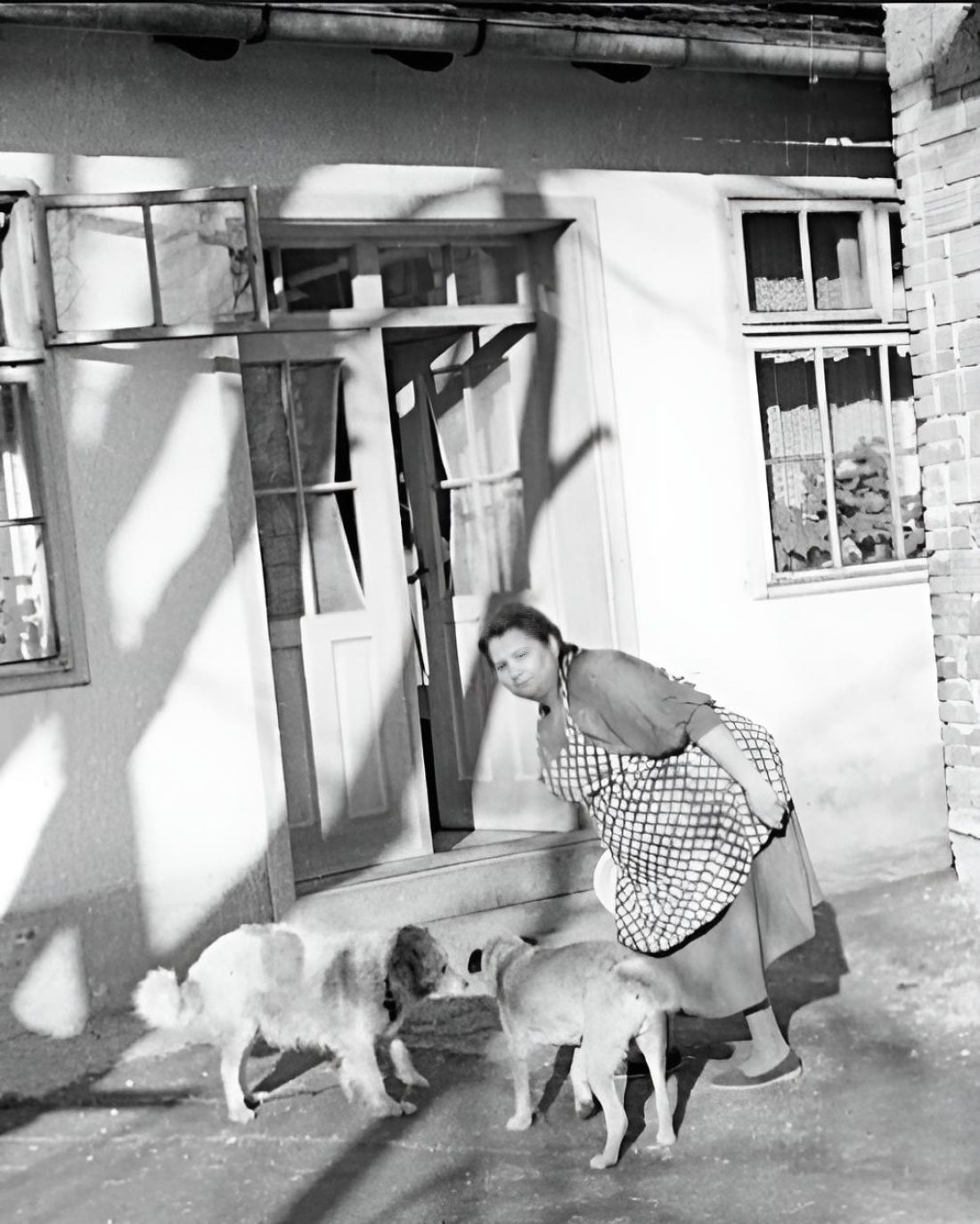 Berta Szabo (*1904/+1963) - Habichtgasse 16 - mit ihren Hunden