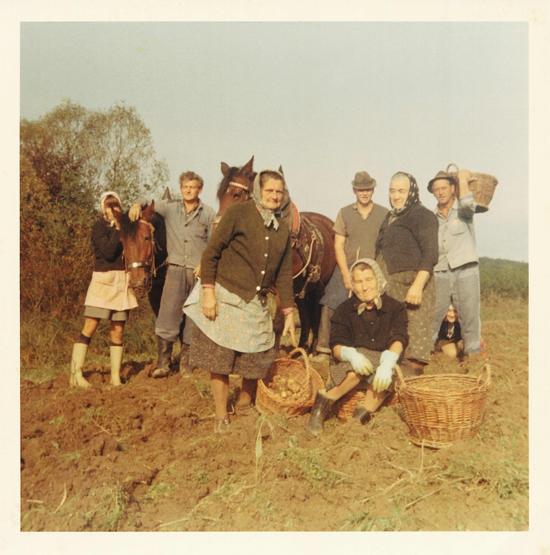 Bei der Kartoffelernte "Krumpanglaub´n" - Szabo/Holler/Benkö/Pal/Herrklotz/Fülöp
