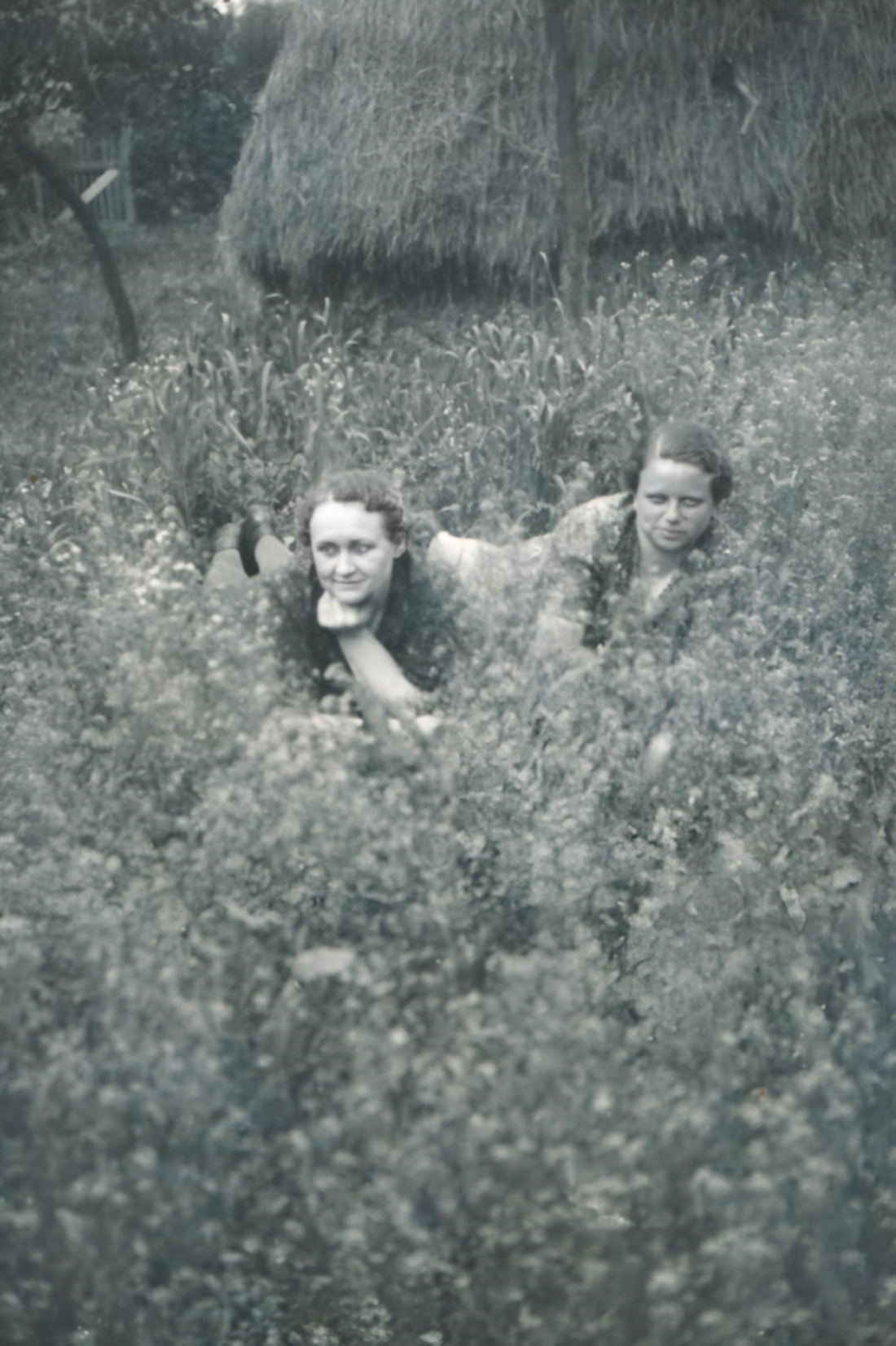 Theresia Bruckner (geb. Pelzmann, *1894/+1989) und Ida Schober (*1906/+1988): Arbeitspause in der Wiese