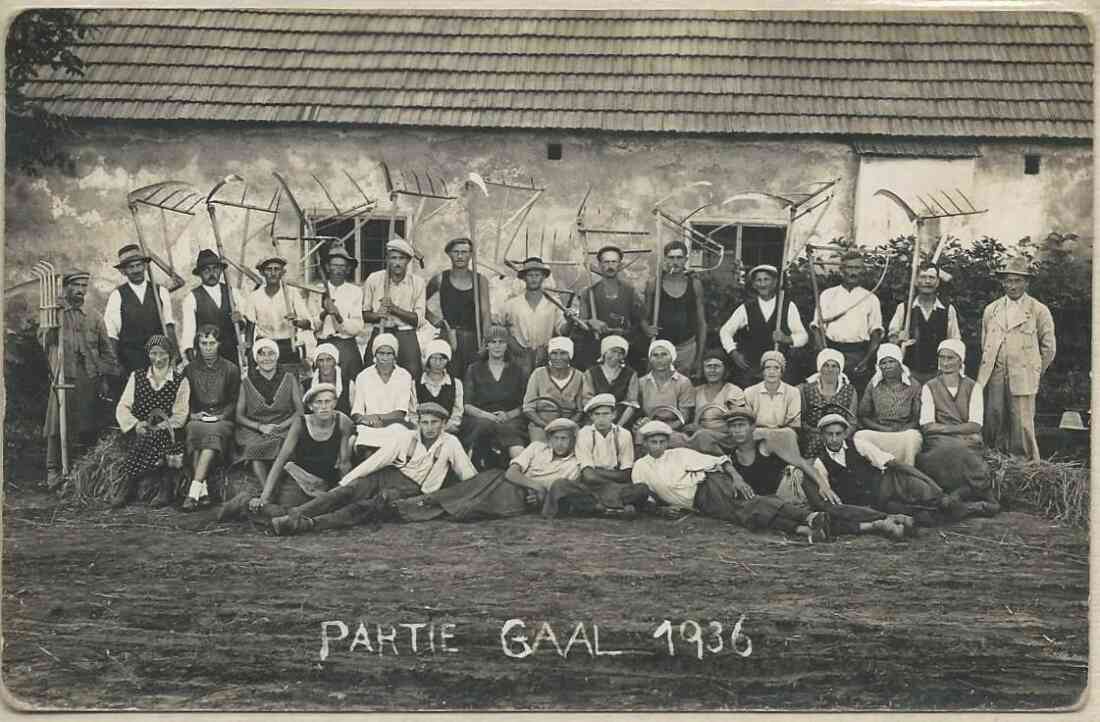 Erntehelfer der Partie Gaal 1936